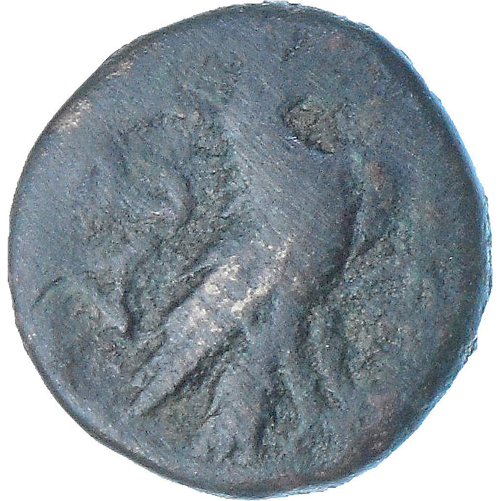 Troas, Æ, 3rd century BC, Abydos, BC+, Bronce