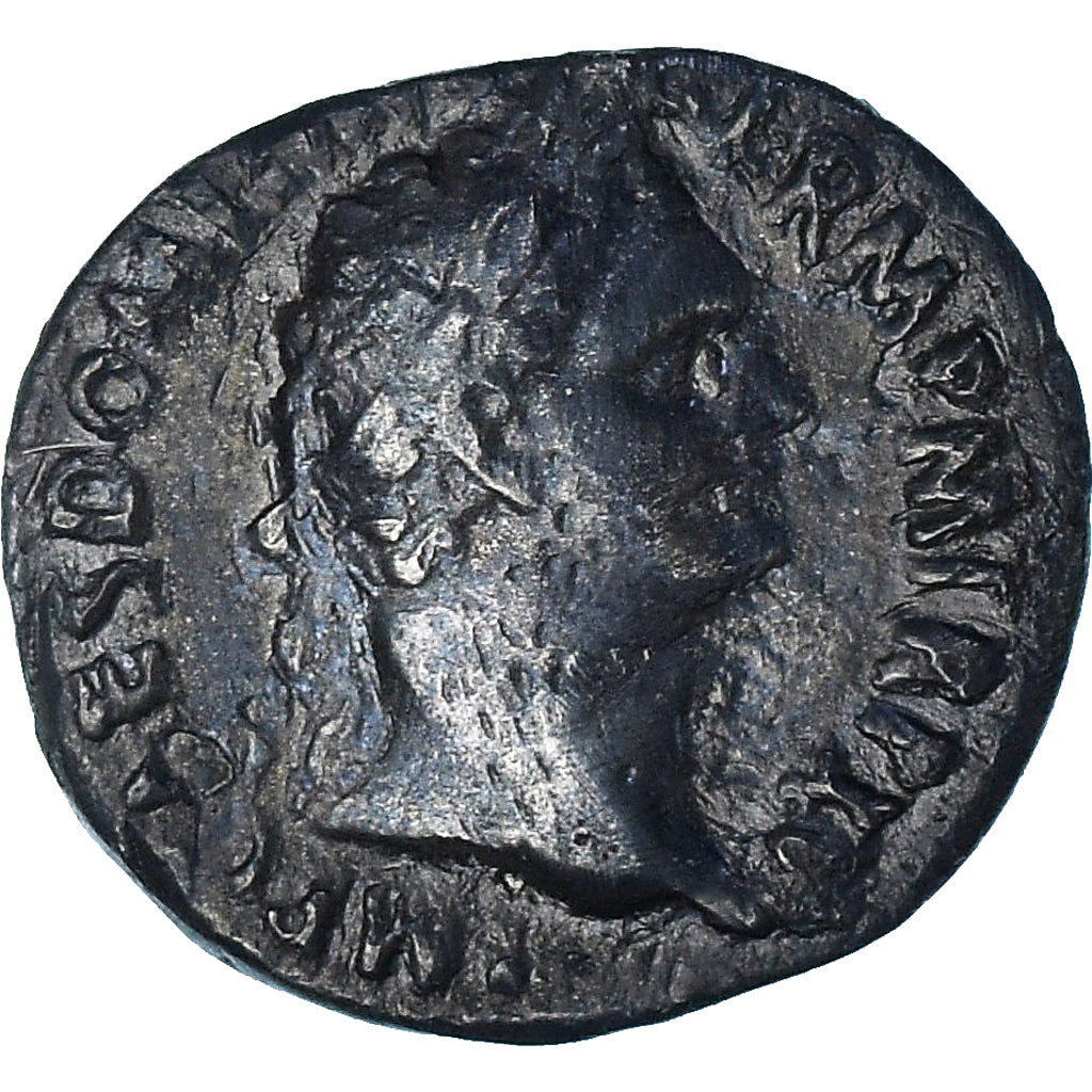 Domitian, Denarius, 95-96, Rome, Silver, EF(40-45), RIC:791