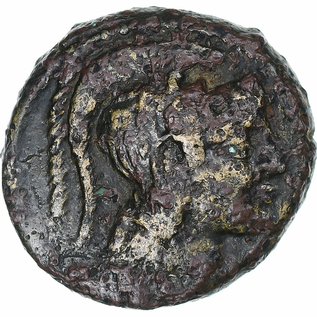 Macedonia, Æ, After 148 BC, Pella, Bronzo, MB+