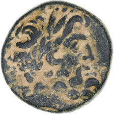 Near East, Augustus, Æ, 13-14, Antioch, Bronze, AU(50-53), RPC:4269