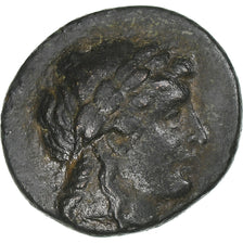 Seleukid Kingdom, Antiochos II Theos, Æ, 261-246 BC, Sardes, Bronce, MBC+