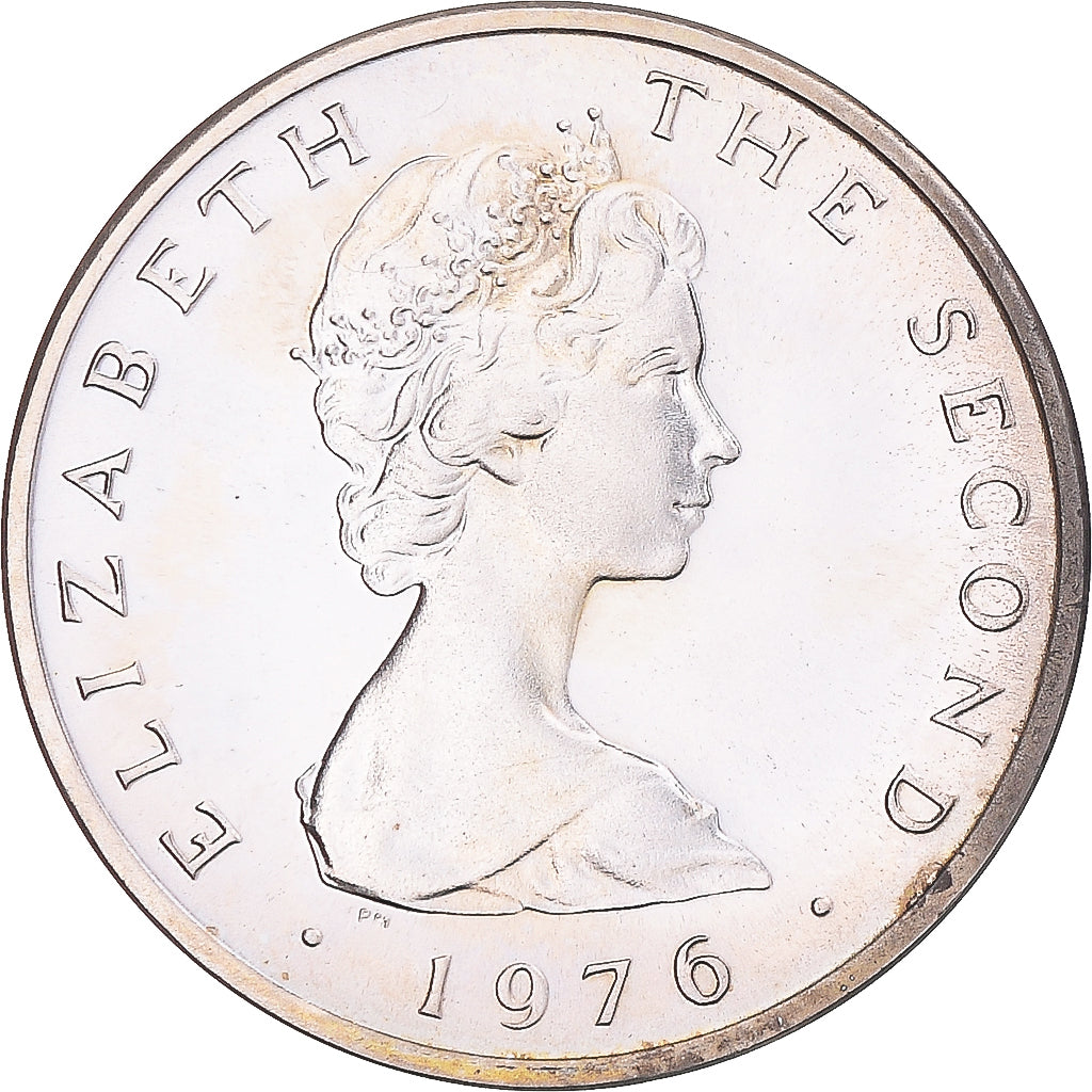 Coin, Isle of Man, Elizabeth II, 2 Pence, 1976, MS(63), Silver, KM:34a