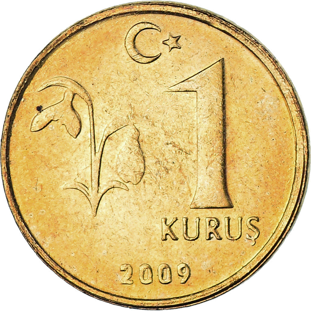 Moeda, Turquia, Kurus, 2009, AU(55-58), Aço Cromado a Cobre-Níquel, KM:1239