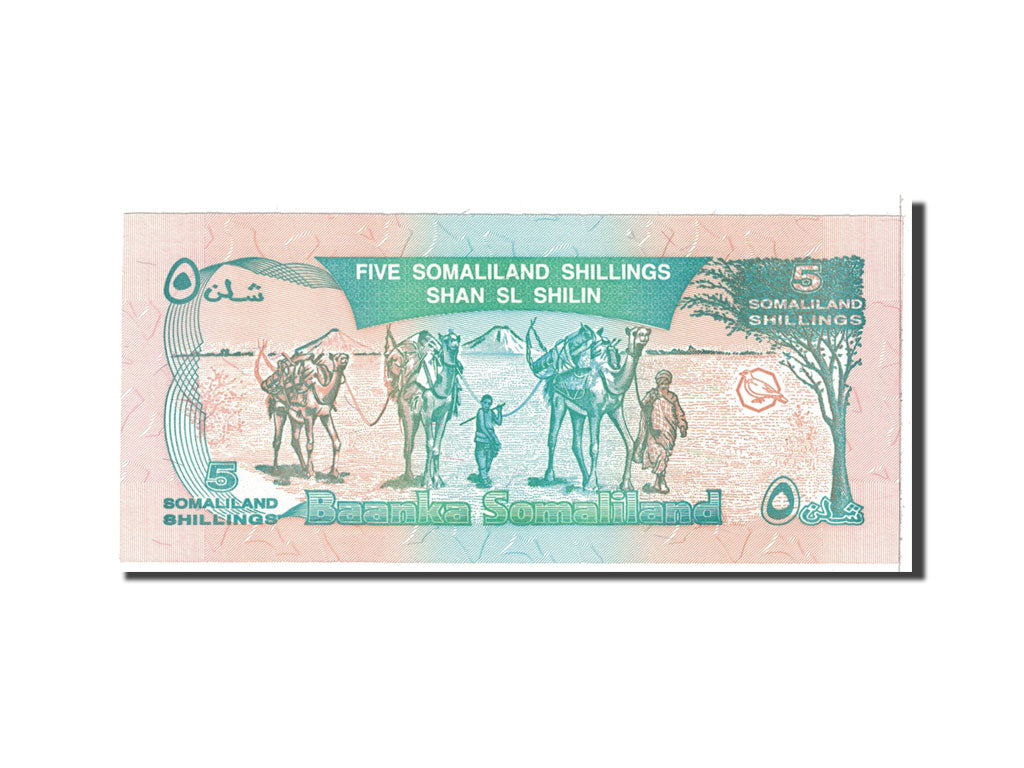 Banknote, Somaliland, 5 Shillings = 5 Shilin, 1996, Undated, KM:1a, UNC(65-70)