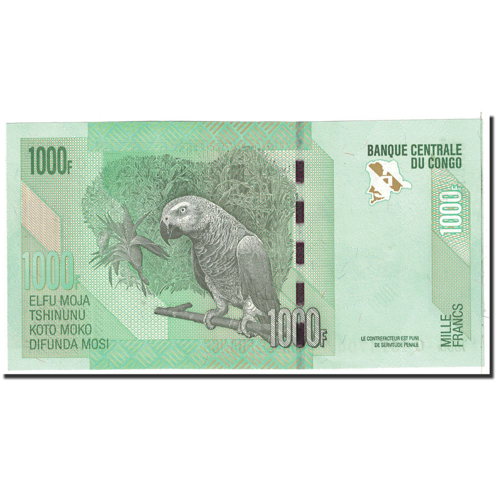 Banknote, Congo Democratic Republic, 1000 Francs, 2005, 2005-02-02, KM:101a