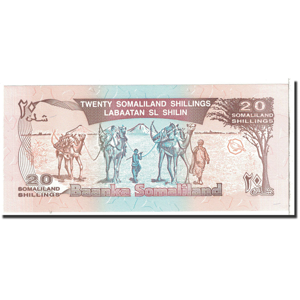 Banknote, Somaliland, 20 Shillings = 20 Shilin, 1996, Undated, KM:3b, UNC(65-70)