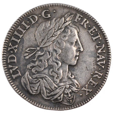 Louis XIV, Lys d'Argent