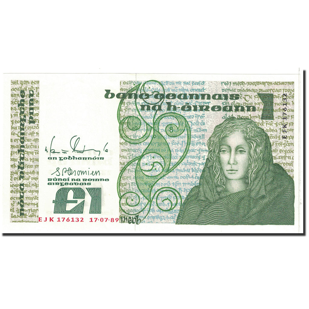 Banknote, Ireland - Republic, 1 Pound, 1989, 1989-07-17, KM:70d, UNC(65-70)