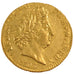 FRANCE, Louis d'or aux insignes, Louis D'or, 1705, Paris, KM #365.1, AU(55-58),.