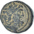 Seleucid i Pierie, Æ, 92-69 BC, Antioch, Brązowy, AU(50-53), HGC:9-1370