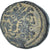 Seleucis and Pieria, Æ, 92-69 BC, Antioch, Bronce, MBC+, HGC:9-1370