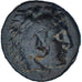Reino Selêucida, Seleukos II Kallinikos, Æ, 246-242 BC, Sardes, Bronze