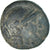 Seleukid Kingdom, Seleukos II Kallinikos, Æ, 246-242 BC, Sardes, Bronze, SS+