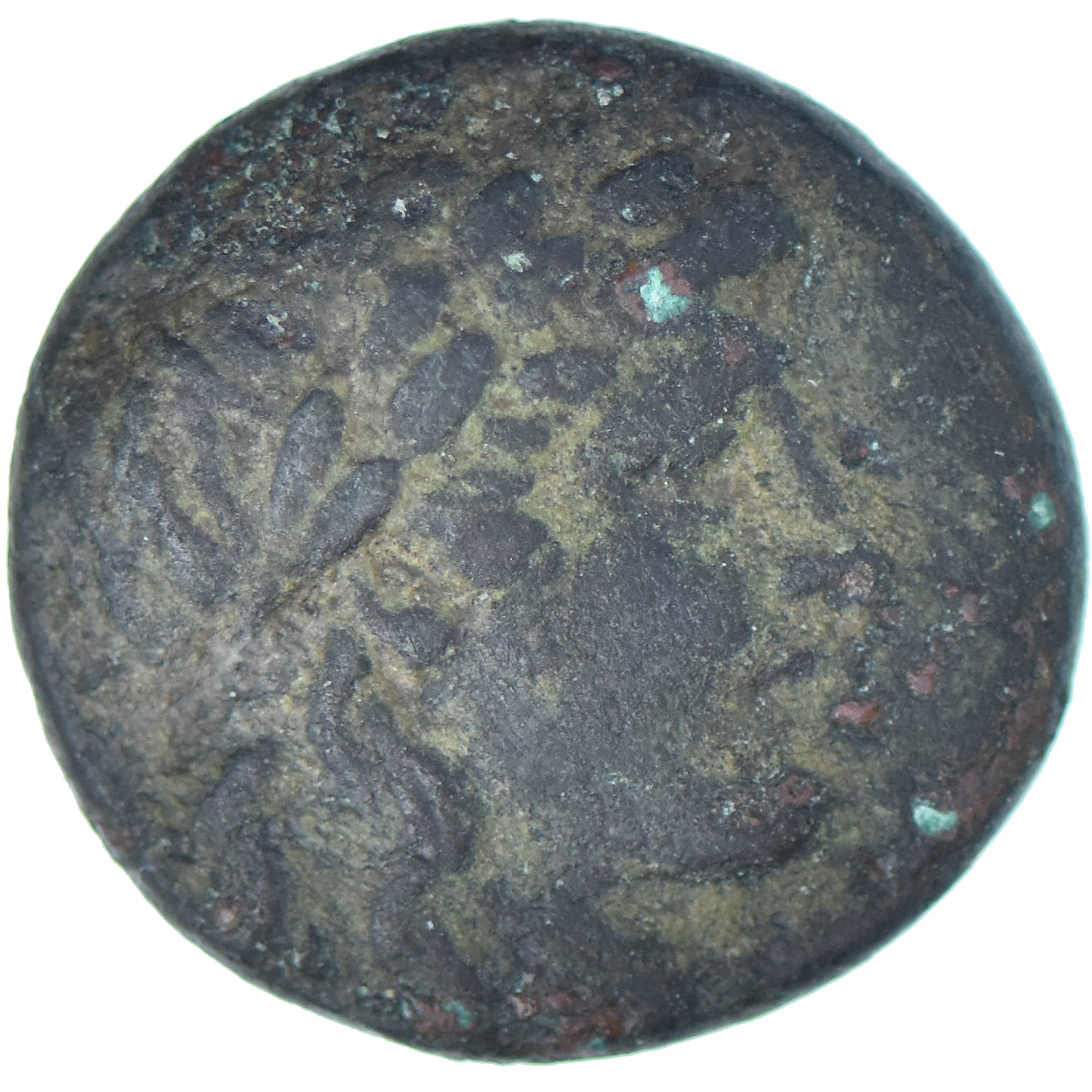 Reino Selêucida, Antiochos II Theos, Æ, 261-246 BC, Sardes, Bronze, EF(40-45)