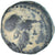 Reino Selêucida, Seleukos II Kallinikos, Æ, 246-226 BC, Uncertain Mint