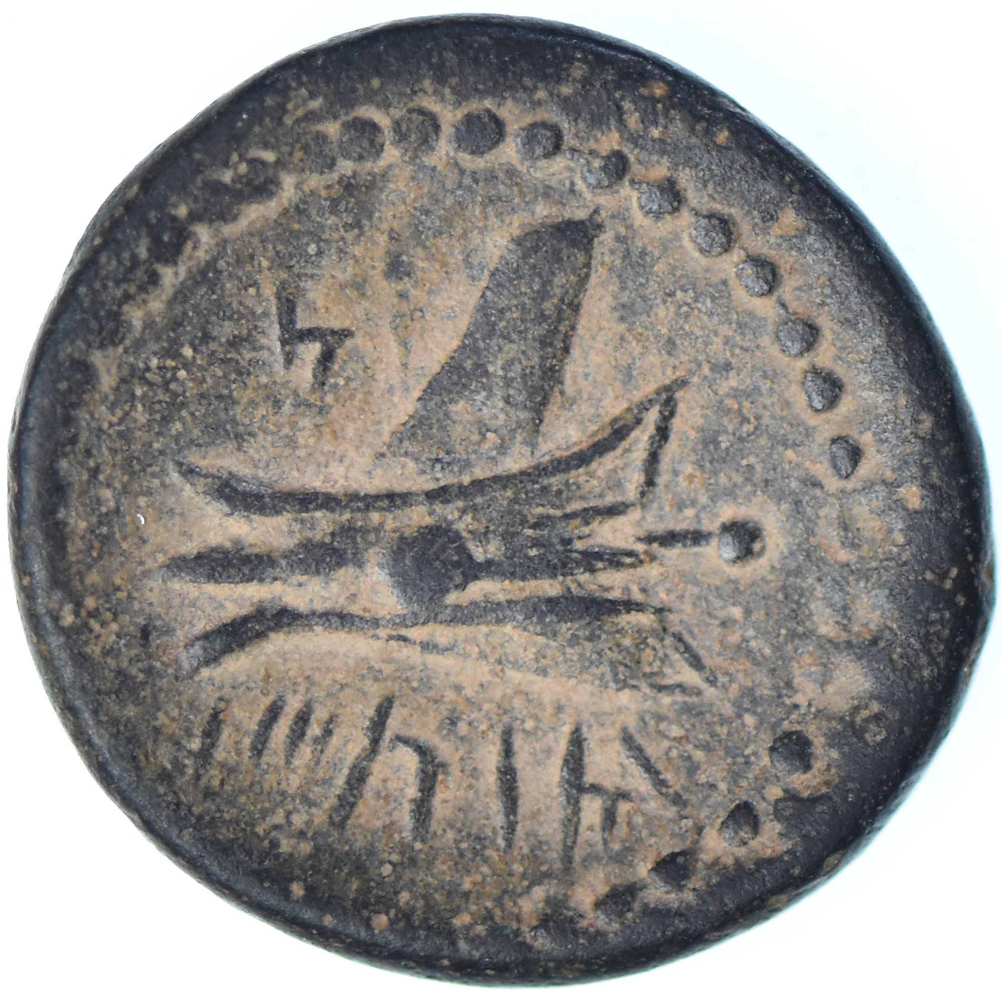 Phoenicia, Æ, 2nd century BC, Arados, Bronze, SS