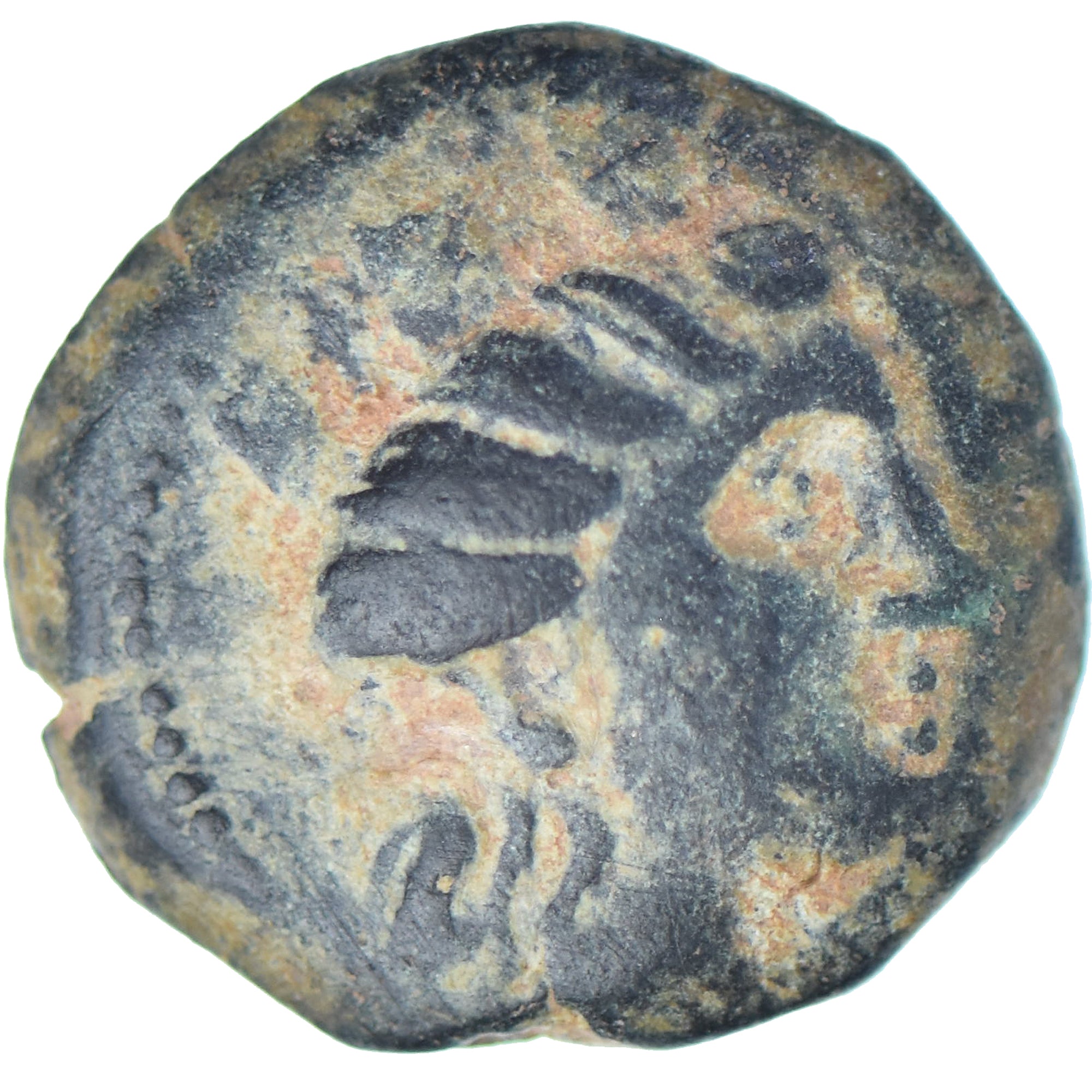 Phoenicia, Æ, 242-166 BC, Arados, Bronze, SS, BMC:89
