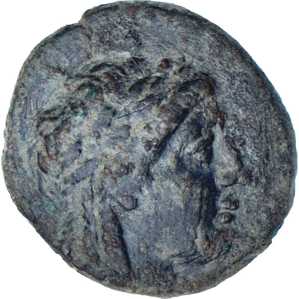 Seleucydzi, Achaïos II, Æ, ca. 221-213 BC, Sardes, Brązowy, AU(50-53)