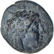 Seleucydzi, Achaïos II, Æ, ca. 221-213 BC, Sardes, Brązowy, AU(50-53)