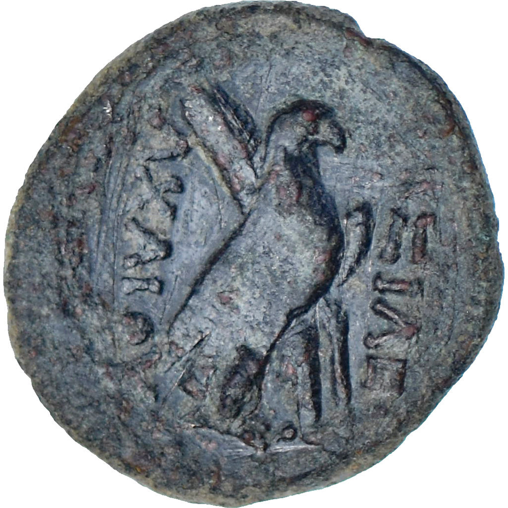 Seleucydzi, Achaïos II, Æ, ca. 221-213 BC, Sardes, Brązowy, AU(50-53)