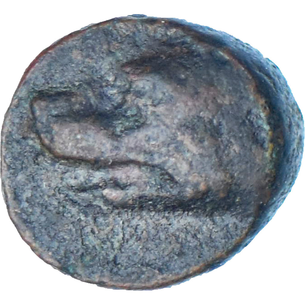 Argolis, Æ, ca. 370-270 BC, Argos, Bronze, SS, HGC:5-707
