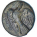 Sikyonie, Chalque Æ, 3ème siècle AV JC, Sikyon, Bronze, TTB+