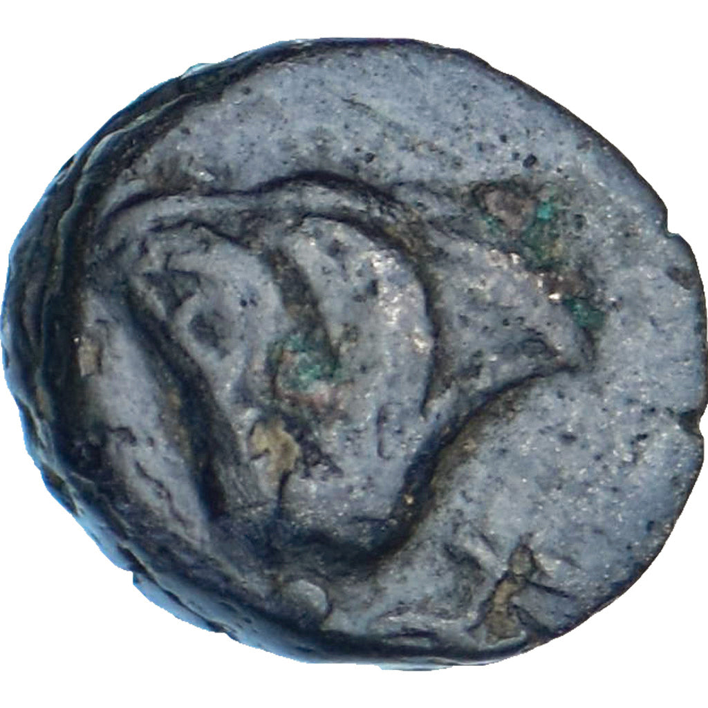 Wyspy przy Carii, Æ, 250-190 BC, Rhodes, Brązowy, EF(40-45), HGC:6-1480