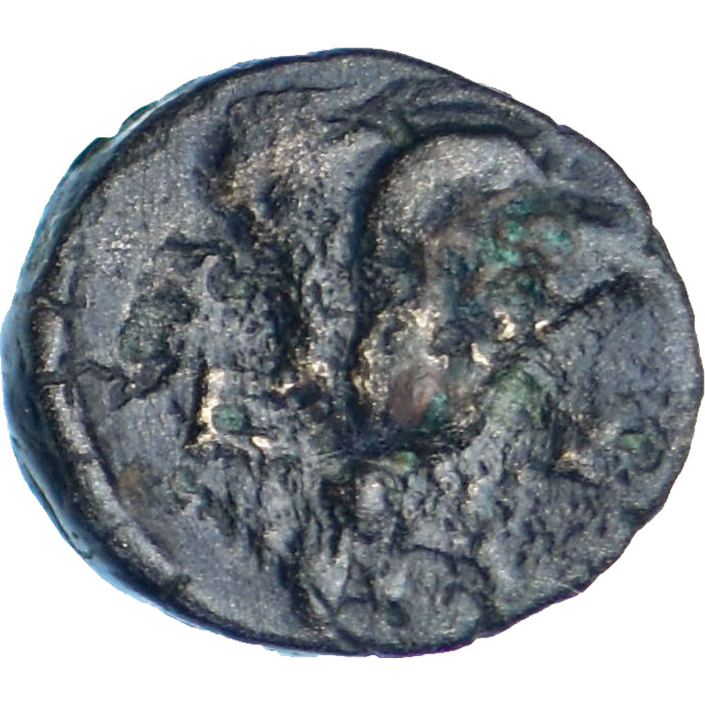 Wyspy przy Carii, Æ, 250-190 BC, Rhodes, Brązowy, EF(40-45), HGC:6-1480