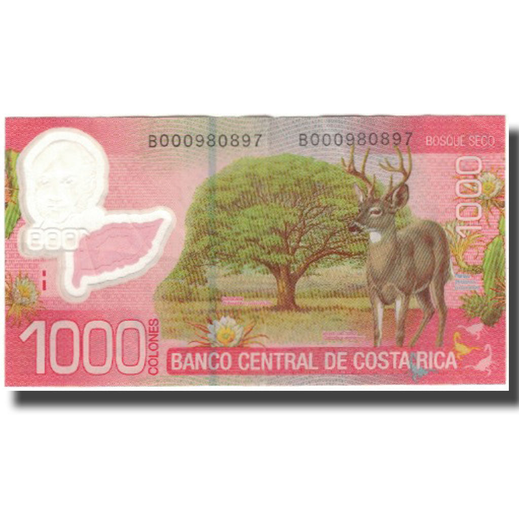 Banknote, Costa Rica, 1000 Colones, 2013-09-11, KM:274, VF(30-35)