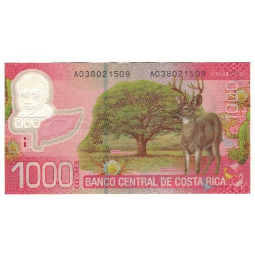 Banknote, Costa Rica, 1000 Colones, 2009, 2009-09-02, KM:274, EF(40-45)