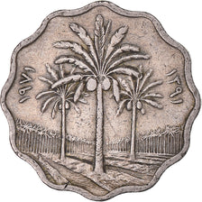 Münze, Irak, 5 Fils, 1971