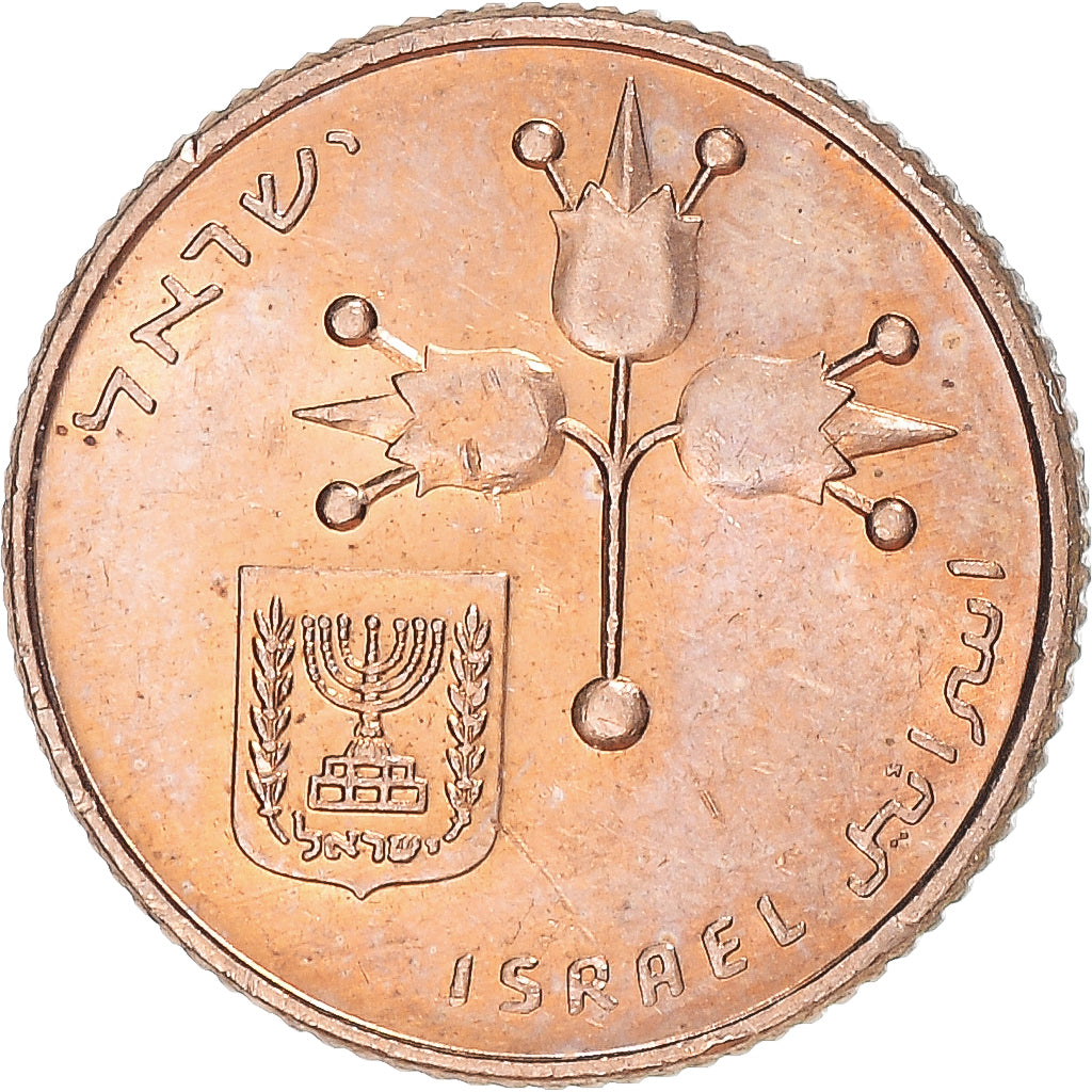 Monnaie, Israël, 10 Agorot, 1980