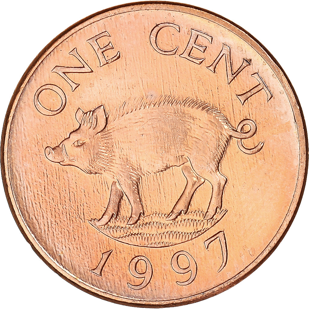 Coin, Bermuda, Cent, 1997
