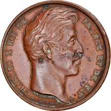 France, Token, Charles X au Camp de Saint-Omer, 1827, Dubois.E, EF(40-45)