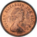 Coin, Falkland Islands, 1/2 Penny, 1974