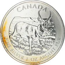 Coin, Canada, Elizabeth II, Pronghorn Antelope, 5 Dollars, 2013, Royal Canadian