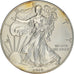 Coin, United States, Silver Eagle, Dollar, 2010, U.S. Mint, MS(63), Silver