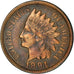 Coin, United States, Indian Head Cent, Cent, 1891, U.S. Mint, Philadelphia