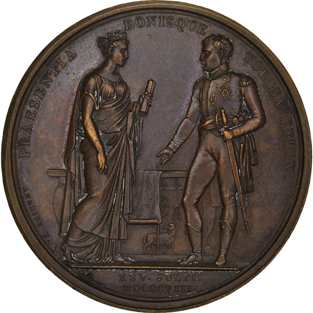 France, Médaille, Napoleon I, Visit of Toulouse, Commemorative, 1808, SUP