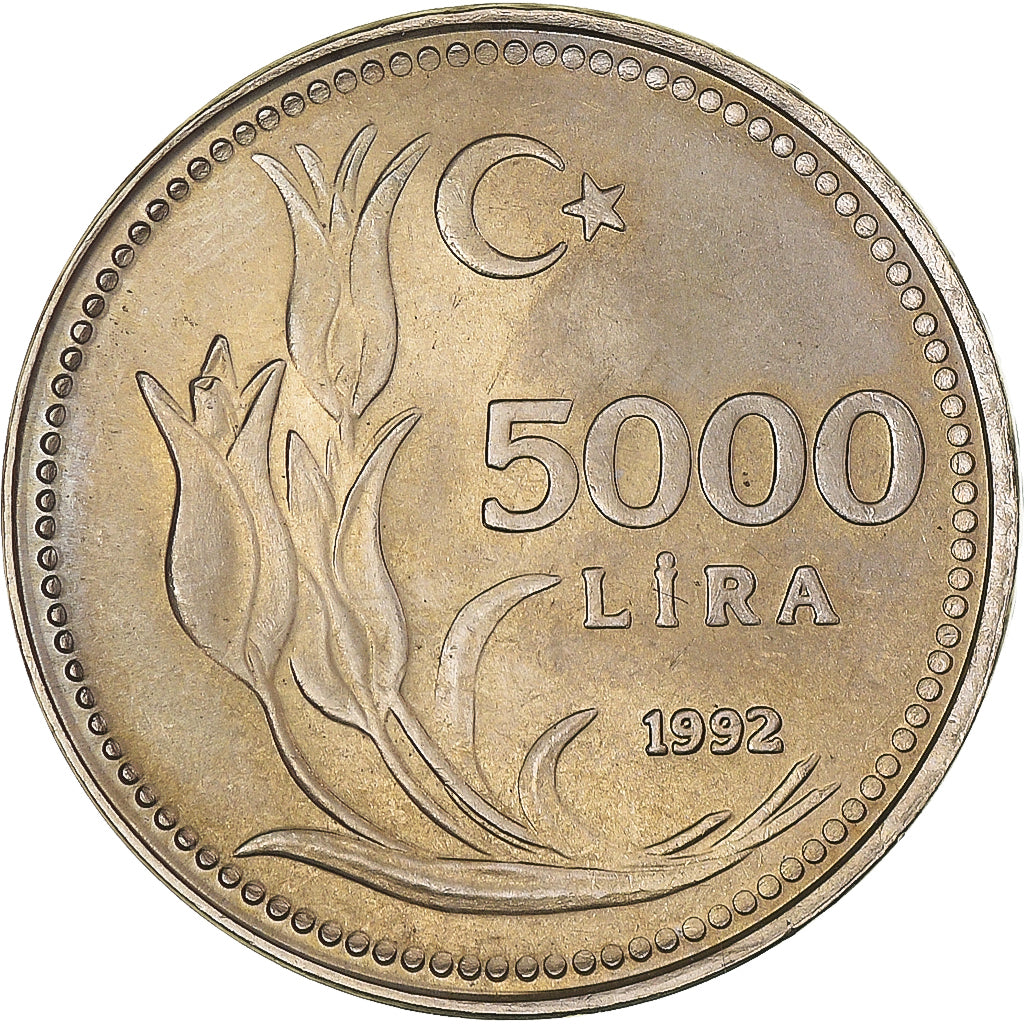 Coin, Turkey, 5000 Lira, 1992, MS(60-62), Nickel-Bronze, KM:1025