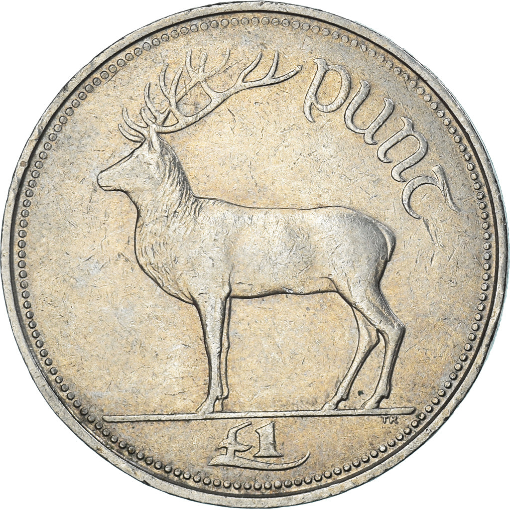 Coin, Ireland, Punt, Pound, 1994