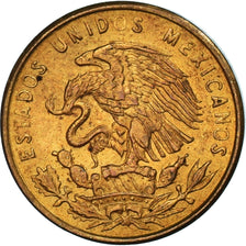Coin, Mexico, Centavo, 1969