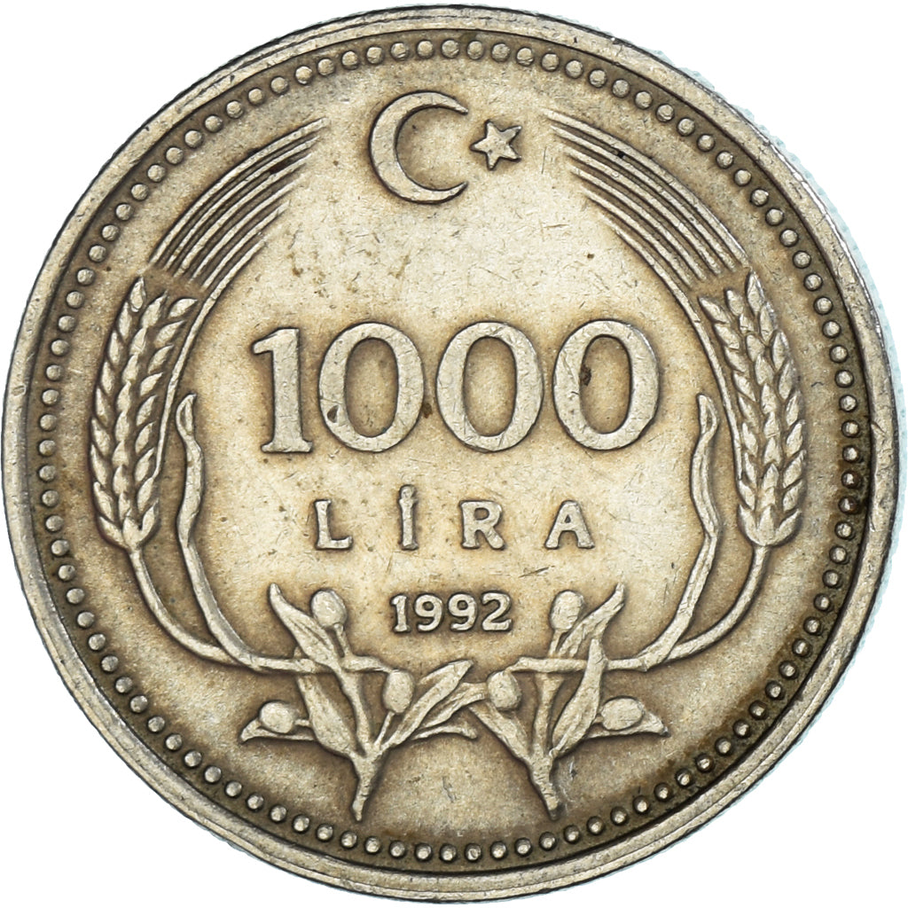 Coin, Turkey, 1000 Lira, 1992