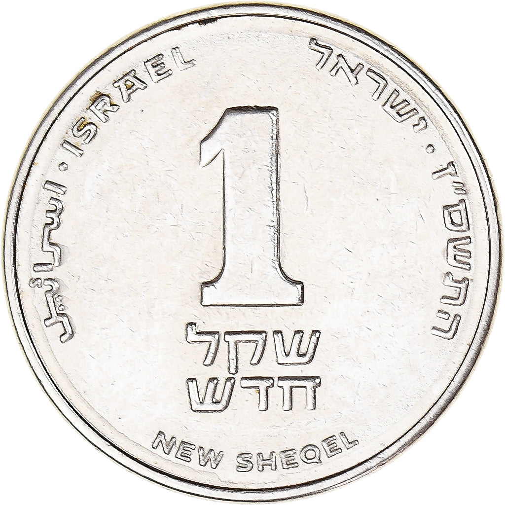 Coin, Israel, New Sheqel, 2006