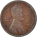 Monnaie, États-Unis, Cent, 1911