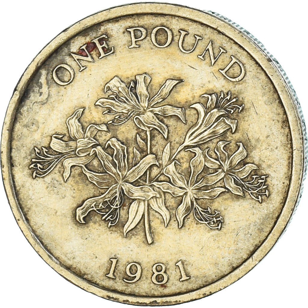 Moneta, Guernsey, Pound, 1981