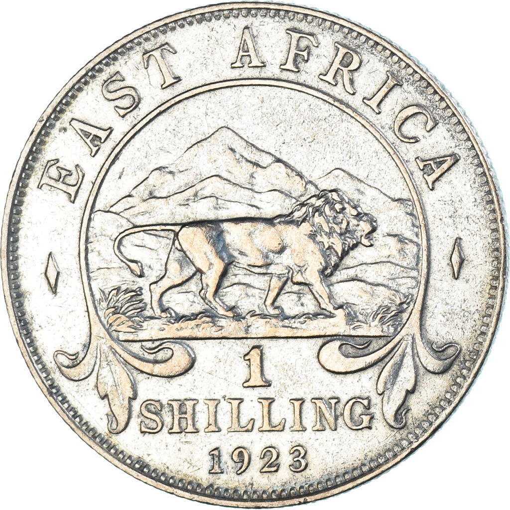 Moneta, AFRYKA WSCHODNIA, Shilling, 1923