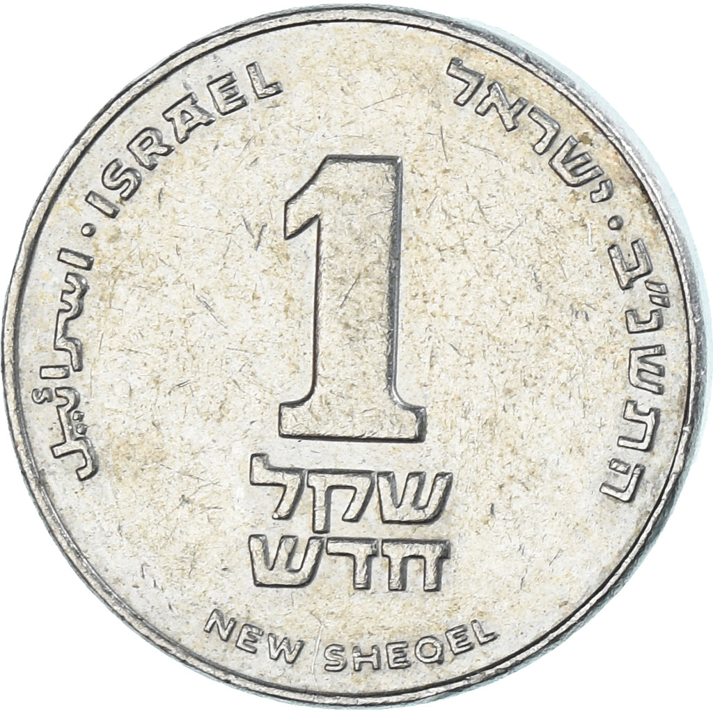 Coin, Israel, New Sheqel, 1992