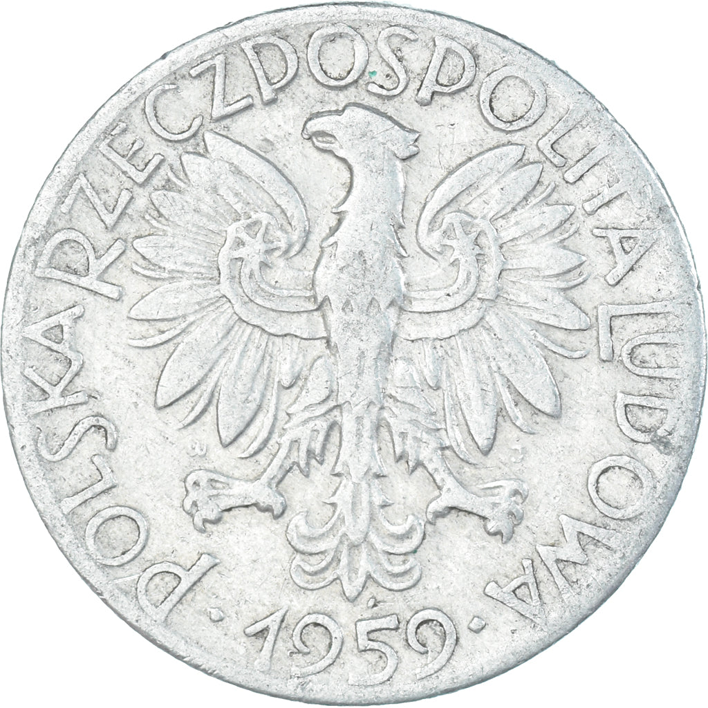 Monnaie, Pologne, 5 Zlotych, 1959