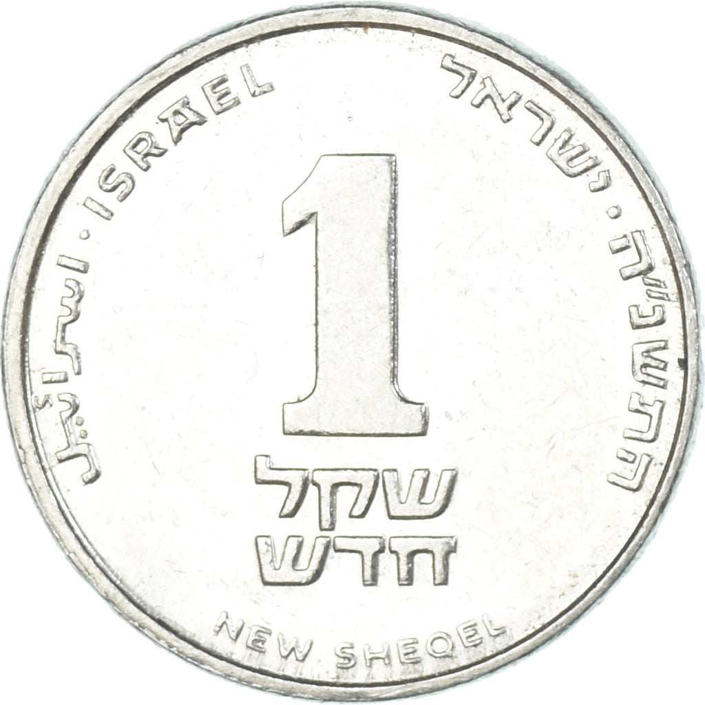 Coin, Israel, New Sheqel, 1995